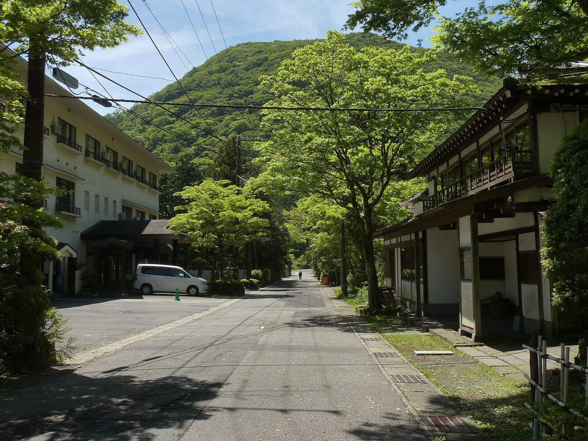新緑の芦之湯温泉の通りと旅館の建物