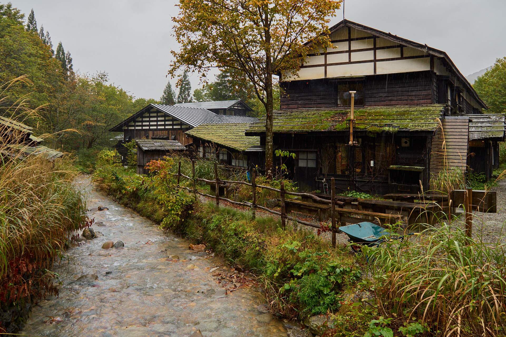 紅葉の中、小川沿いに建つ乳頭温泉郷の木造の宿(2025年10月)